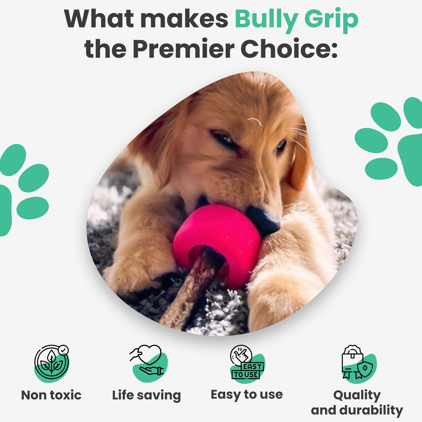 Bully Grip - Small