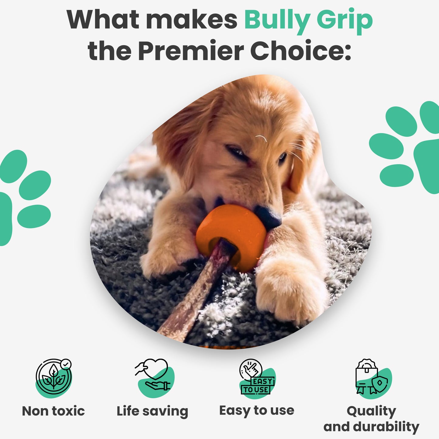 Bully Grip - Medium